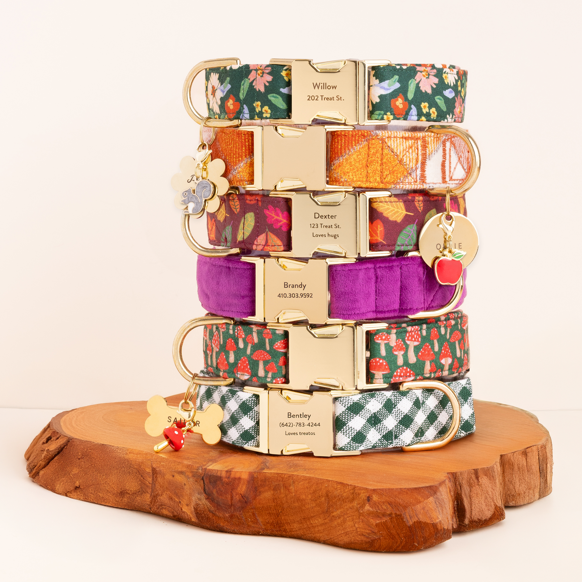 Plum Velvet Dog Collar