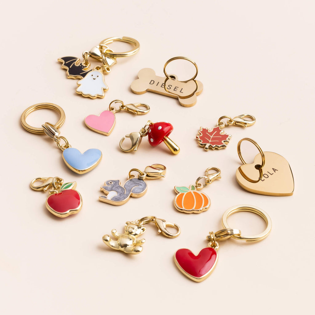 Spooky Season Collar Charm Set