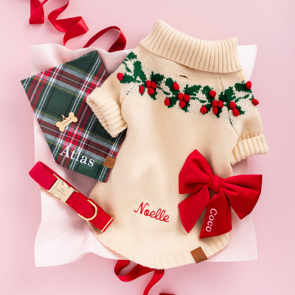 Cranberry Velvet Lady Bow Collar