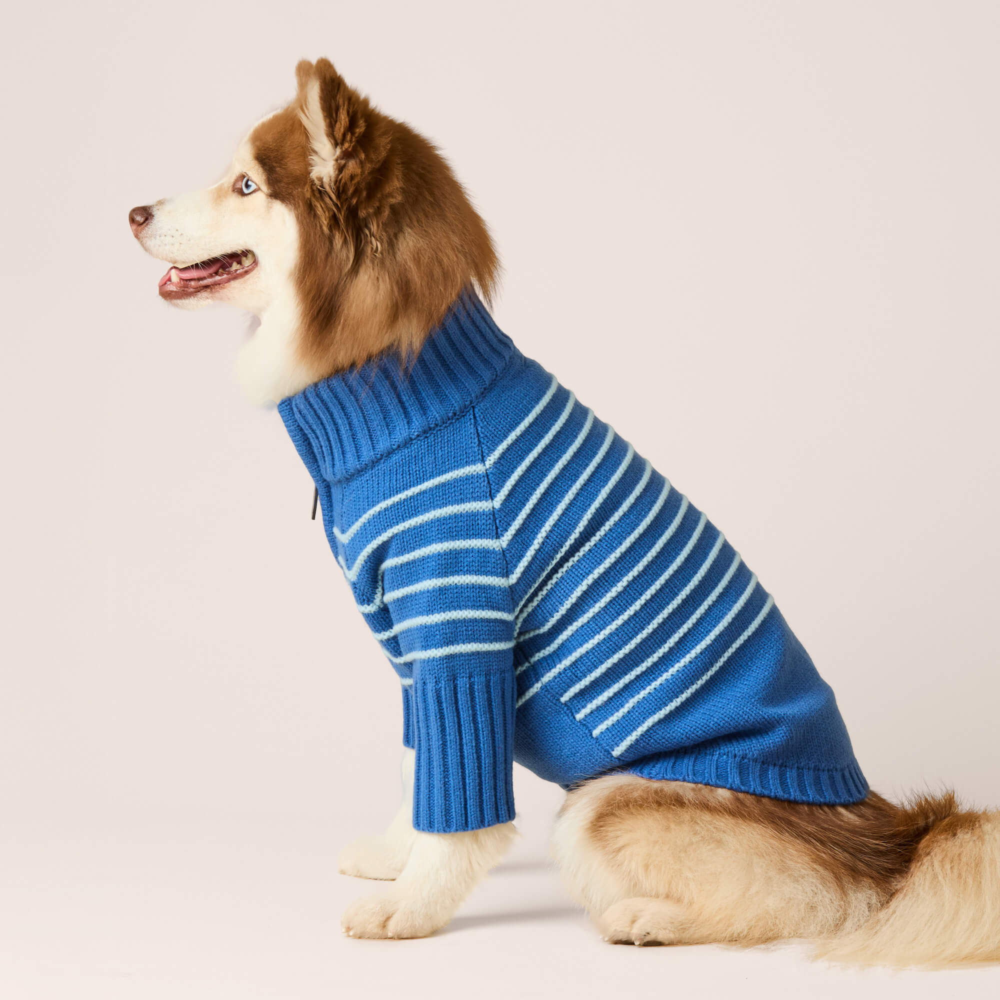 Blue Stripe Quarter-Zip Dog Sweater