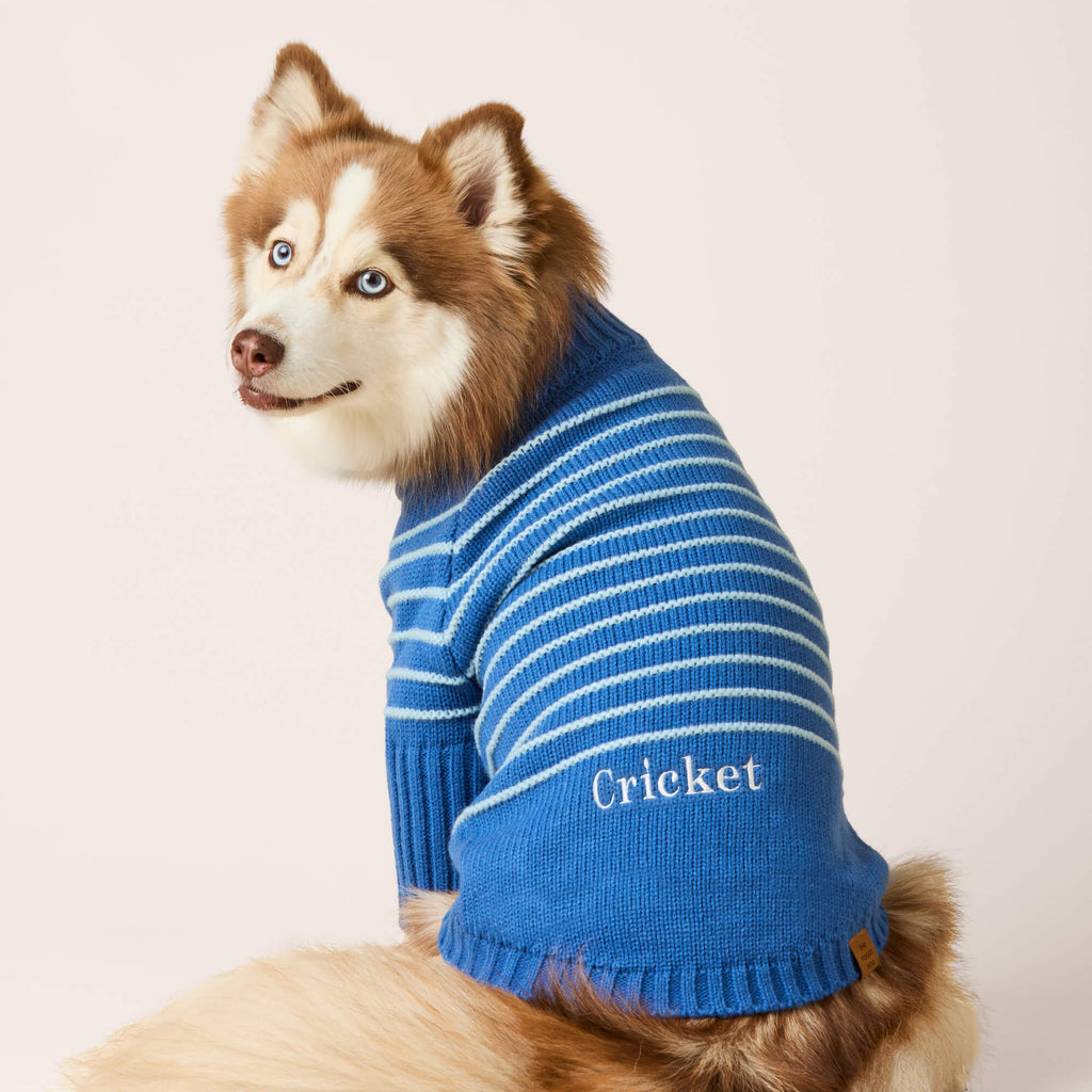 Blue Stripe Quarter-Zip Dog Sweater