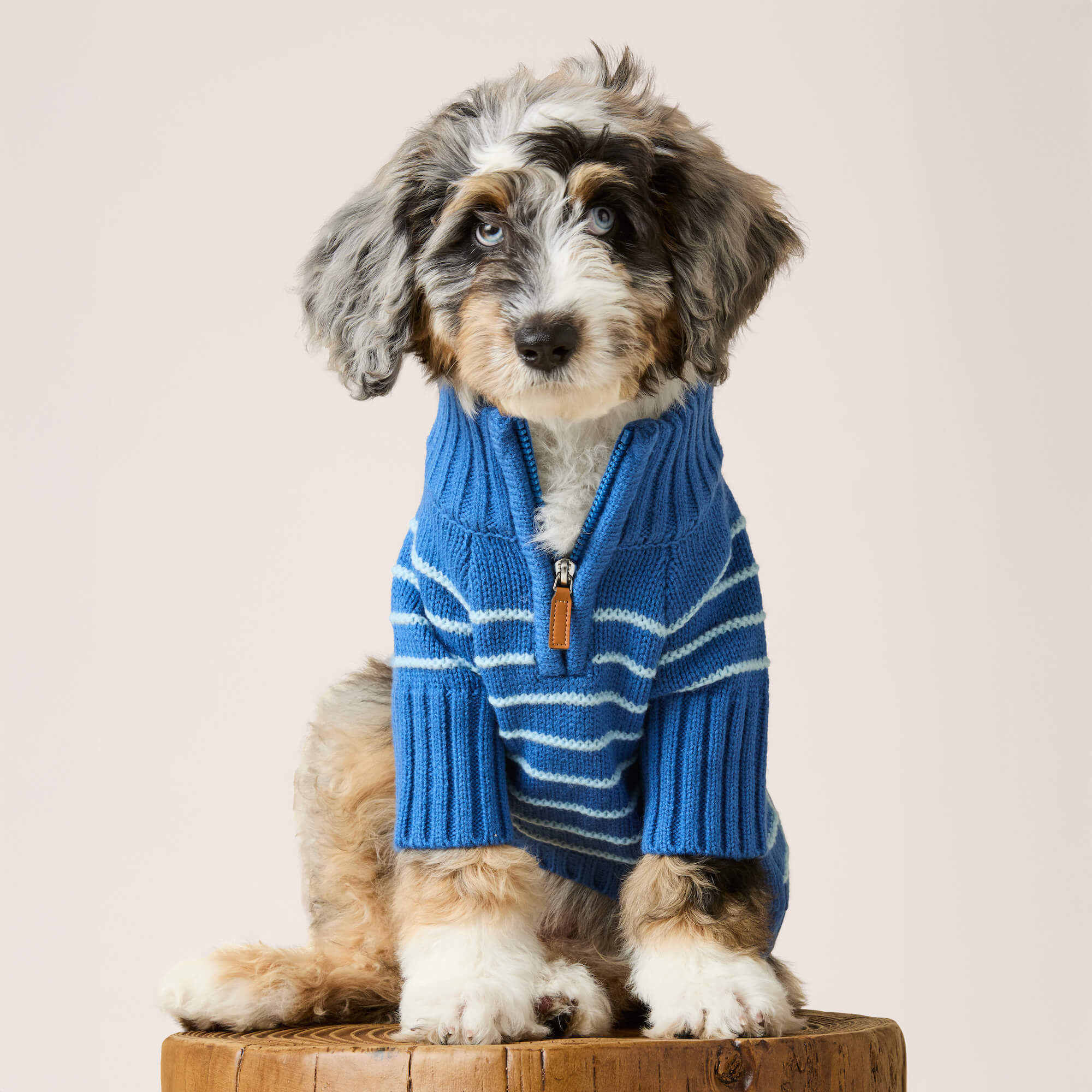 Blue Stripe Quarter-Zip Dog Sweater