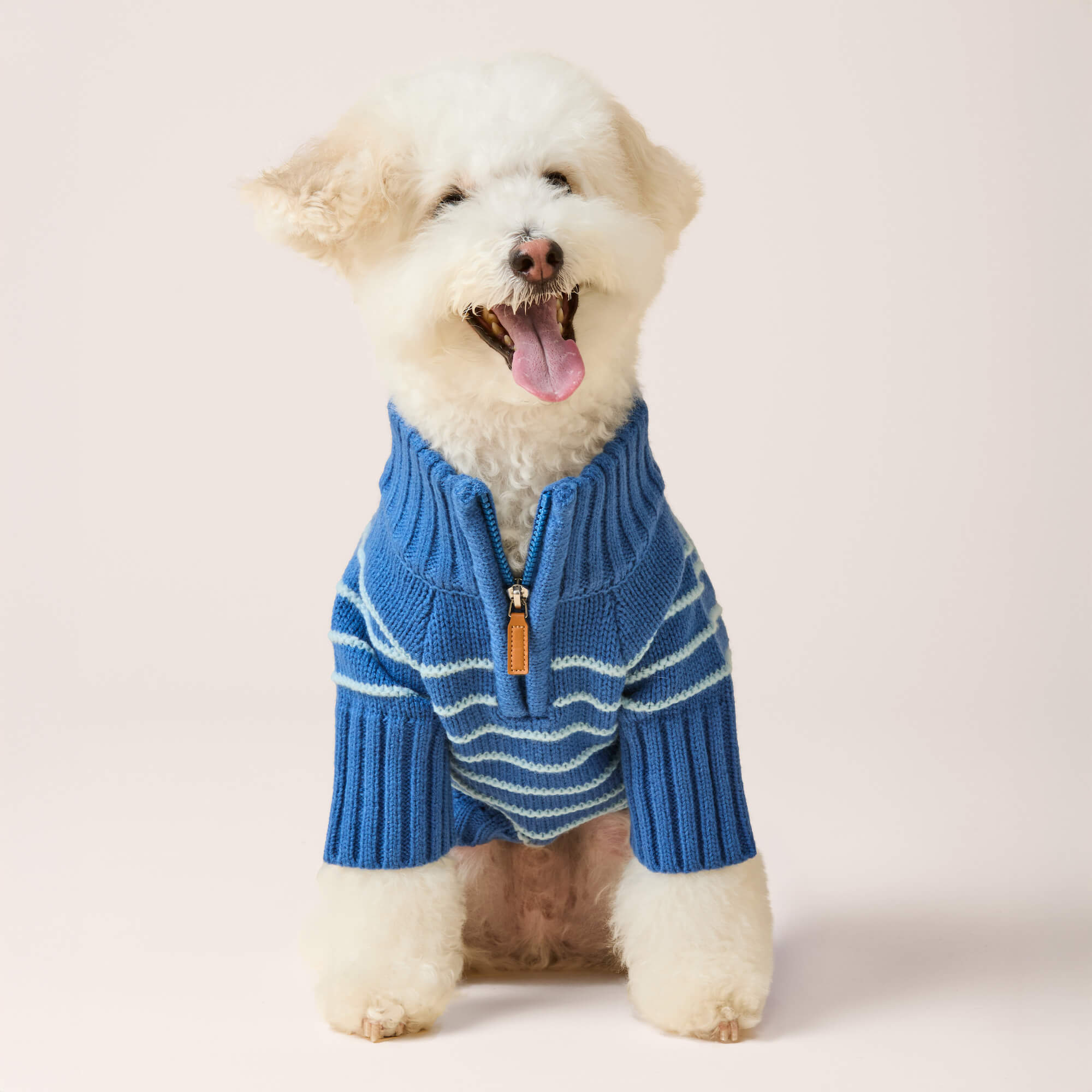 Blue Stripe Quarter-Zip Dog Sweater
