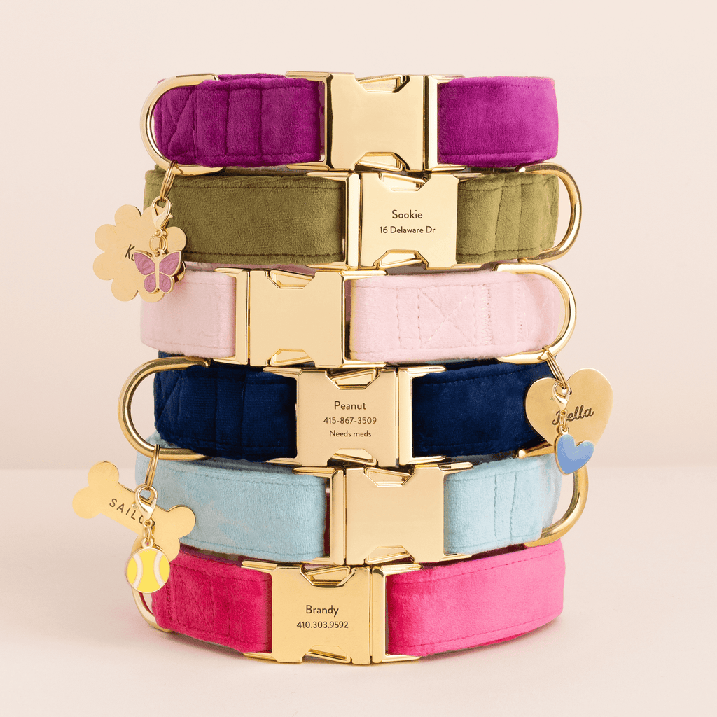Moss Velvet Dog Collar