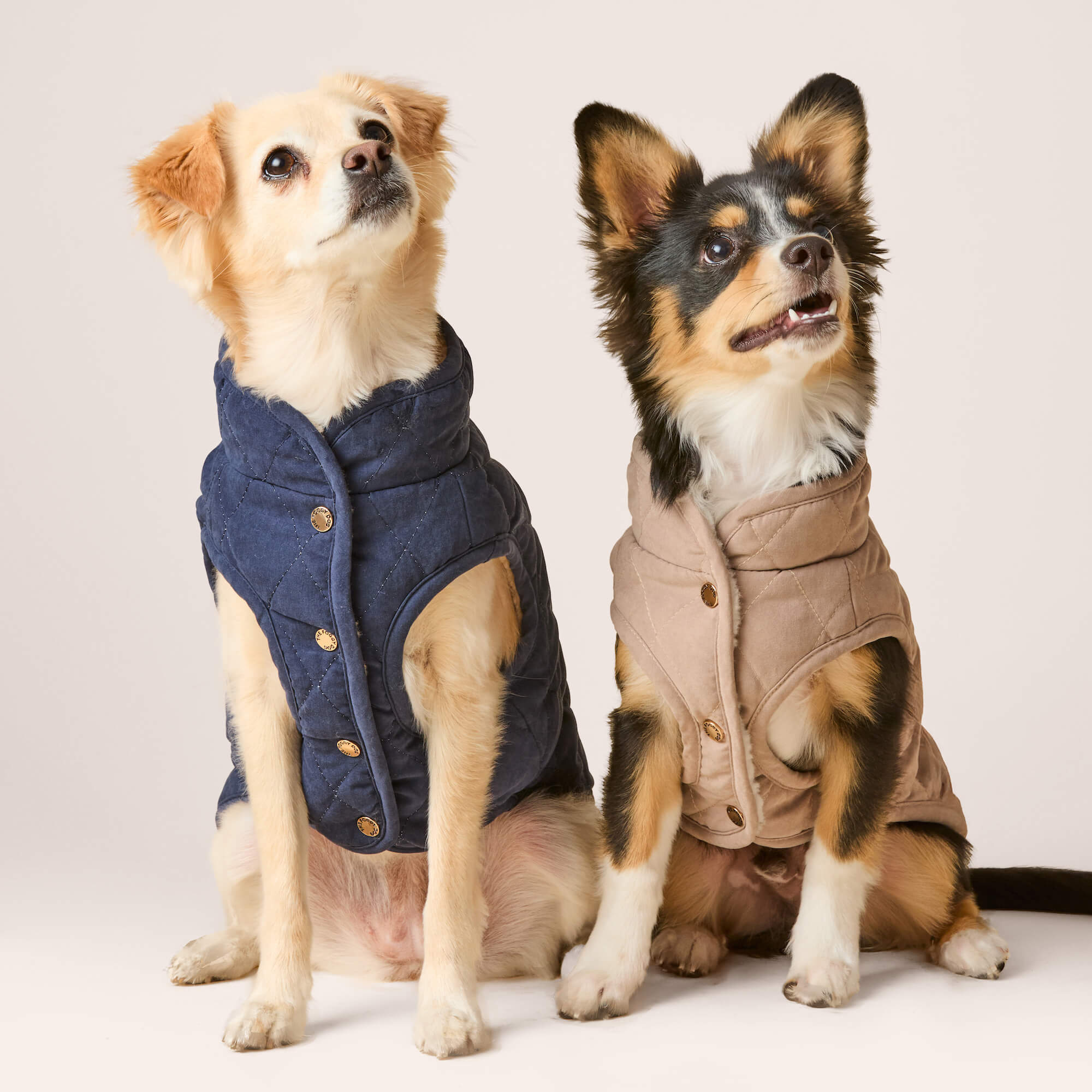 Navy Sherpa-Lined Reversible Dog Jacket