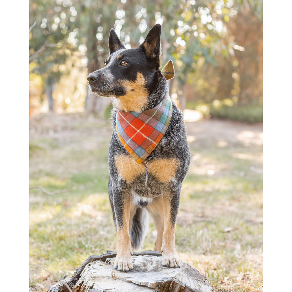 Buchanan Plaid Flannel Dog Bandana