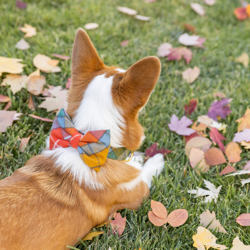 Buchanan Plaid Flannel Bow Tie Collar