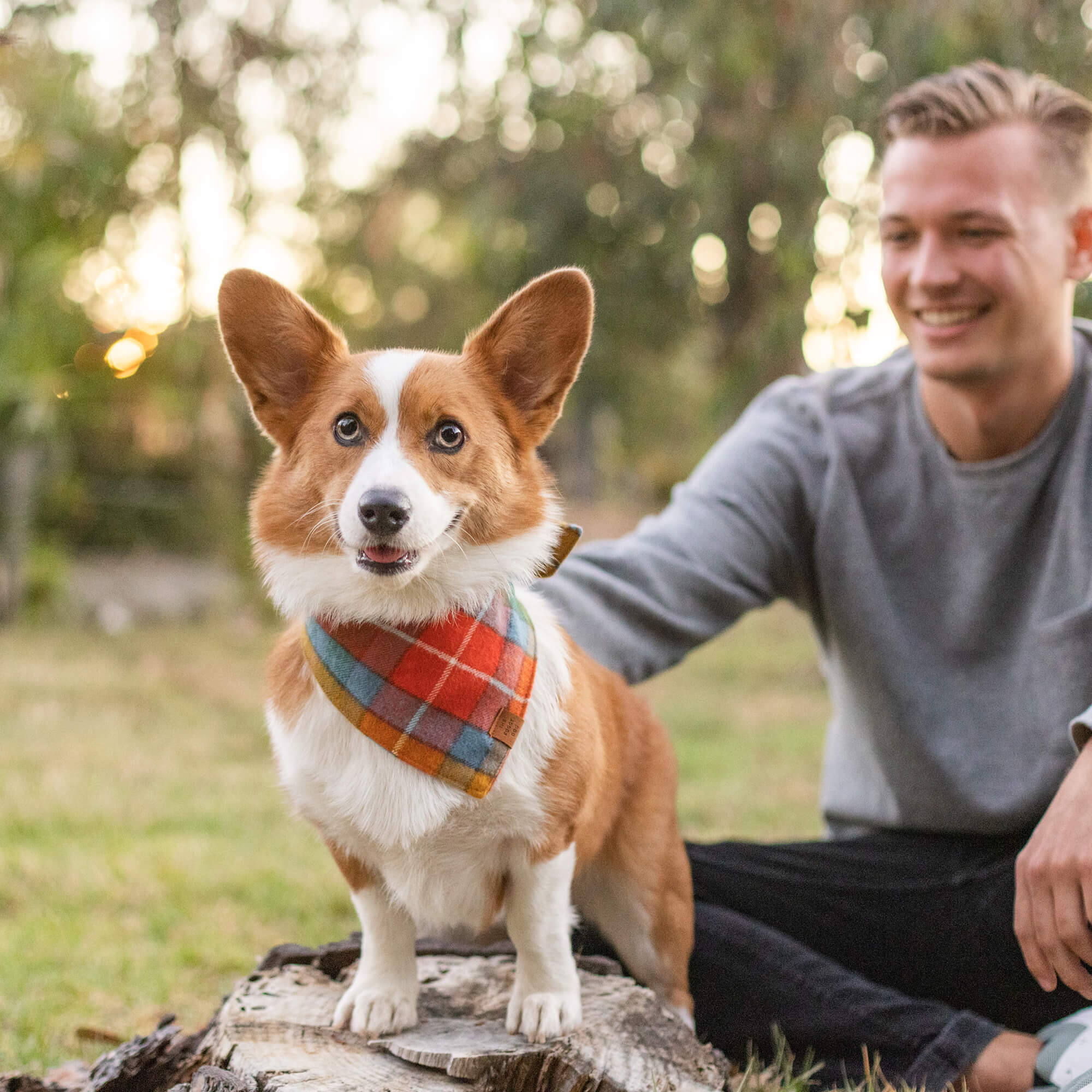 Buchanan Plaid Flannel Dog Bandana