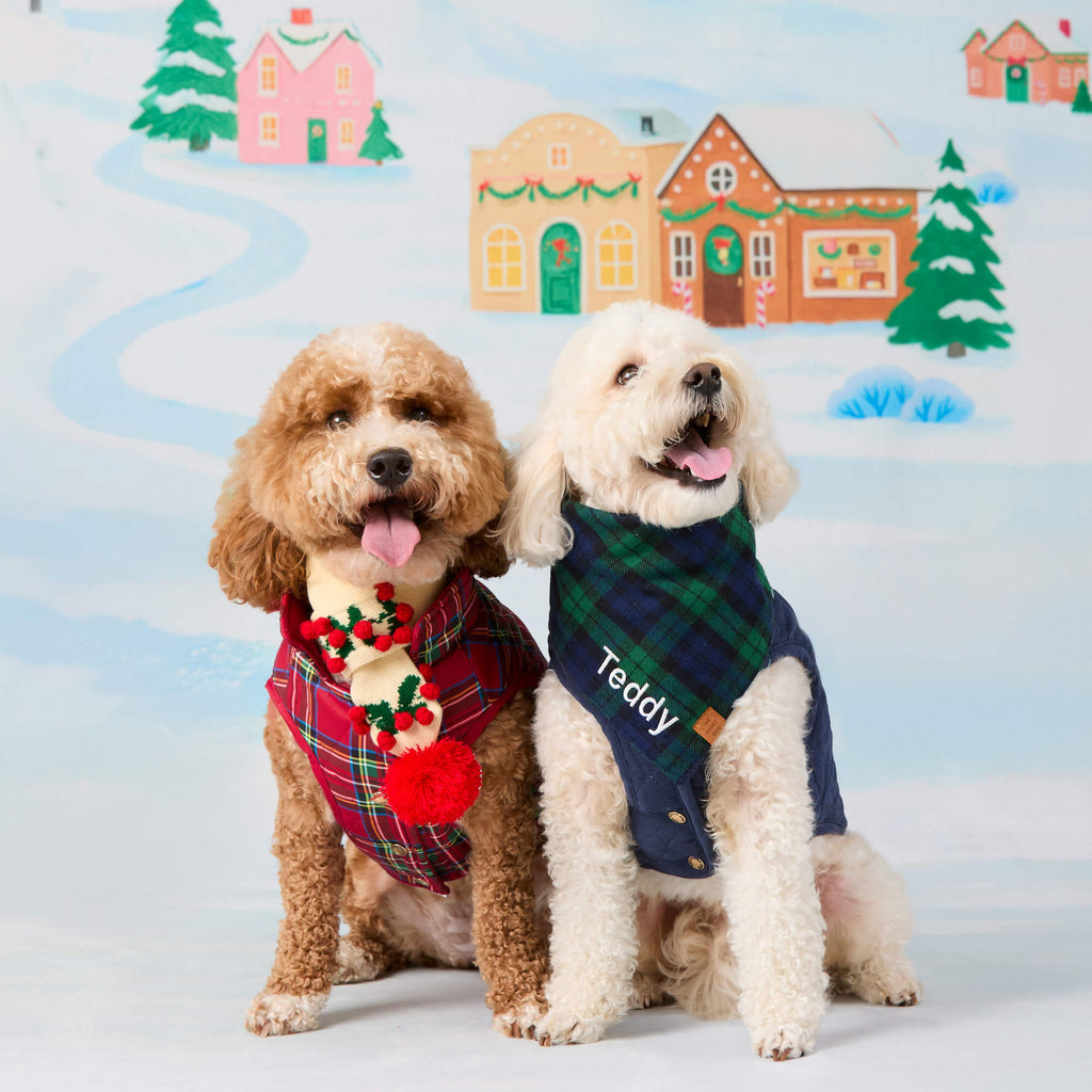 Navy Sherpa-Lined Reversible Dog Jacket