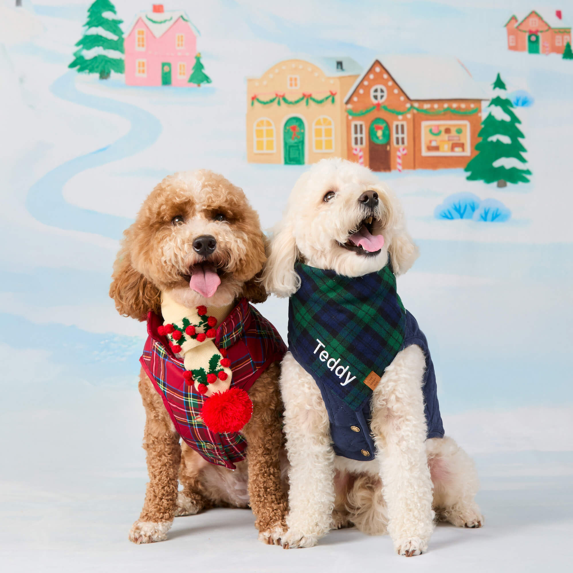 Navy Sherpa-Lined Reversible Dog Jacket