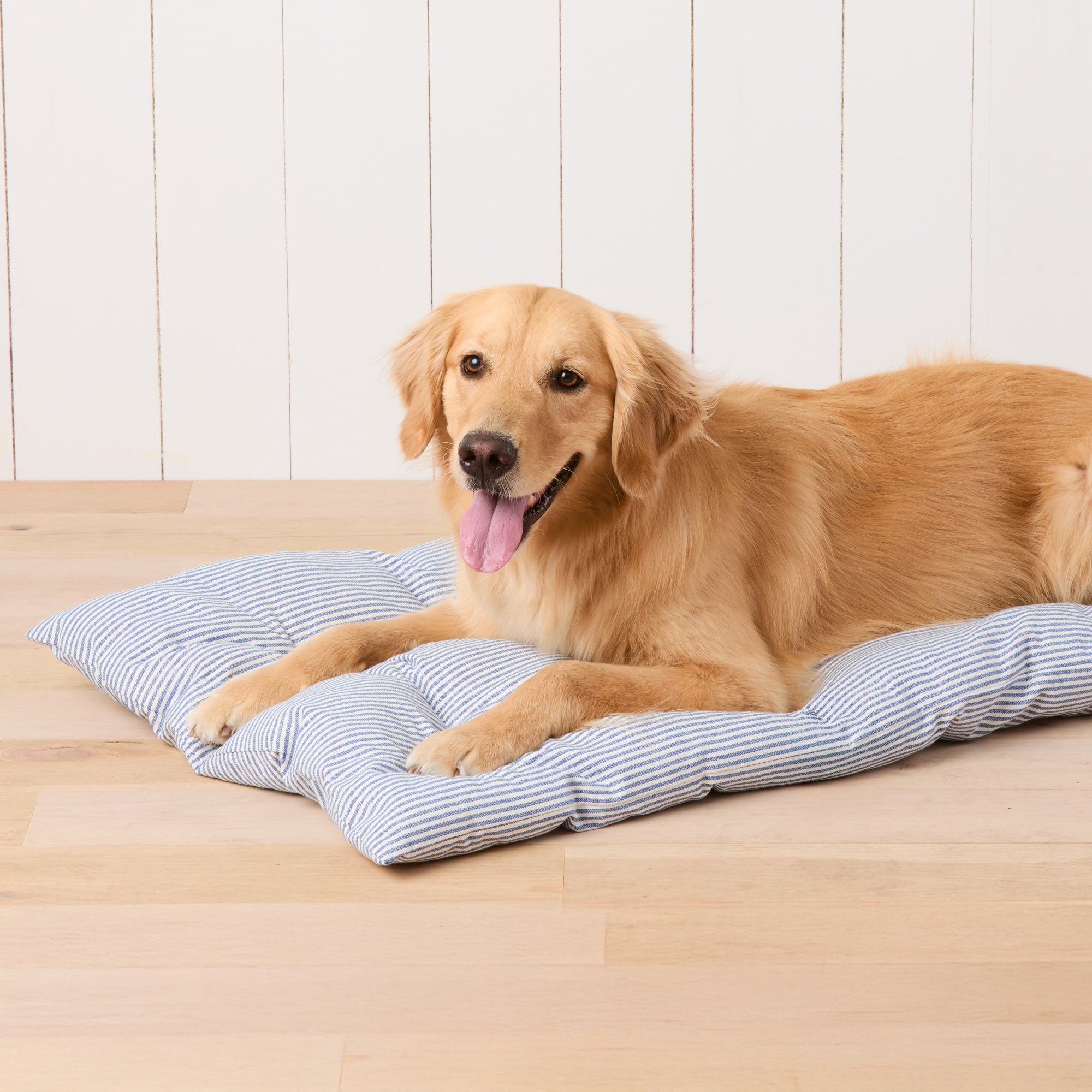 Lake Blue Stripe Dog Travel Mat