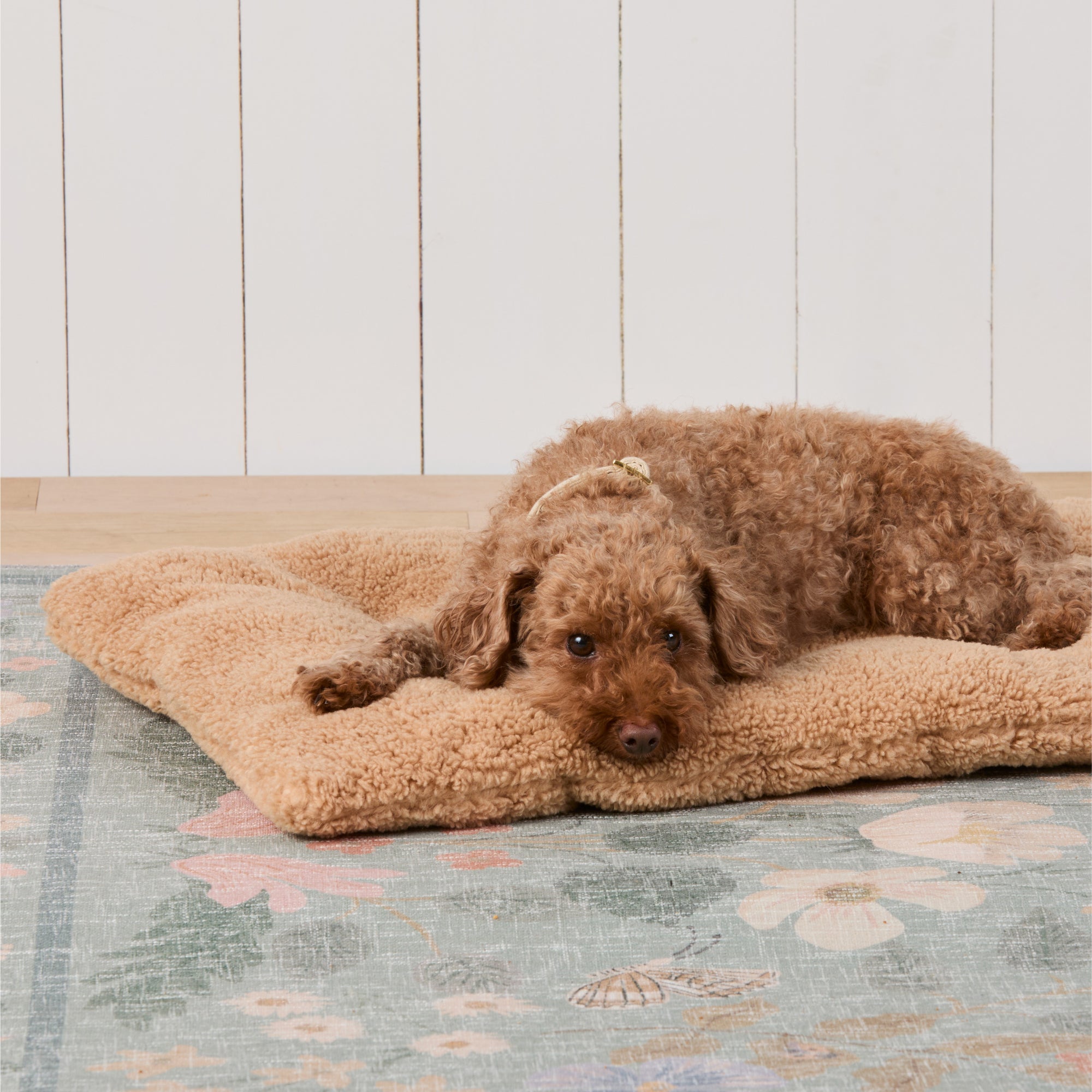 Latte Recycled Sherpa Dog Travel Mat