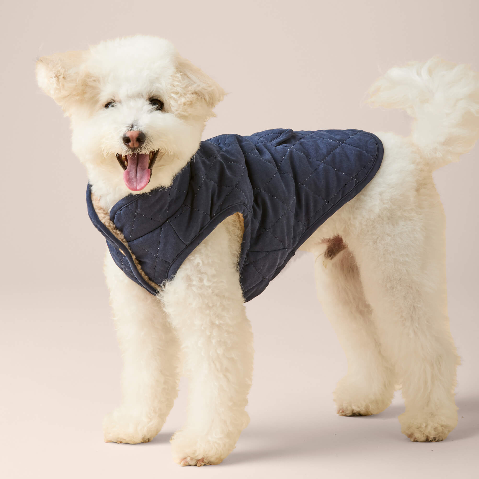 Navy Sherpa-Lined Reversible Dog Jacket