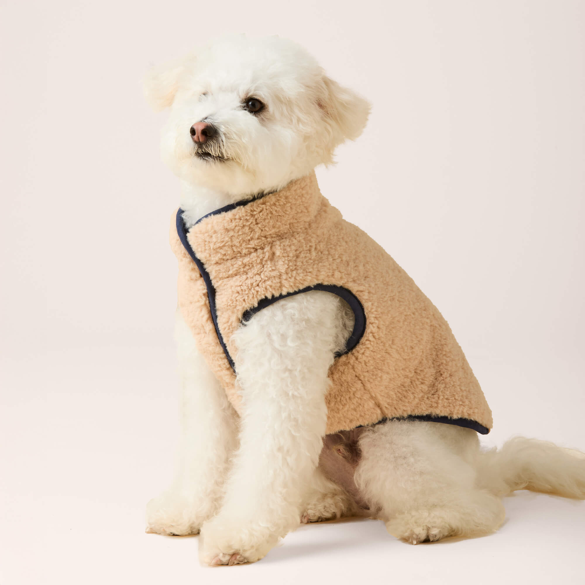 Navy Sherpa-Lined Reversible Dog Jacket