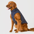 Navy Sherpa-Lined Reversible Dog Jacket