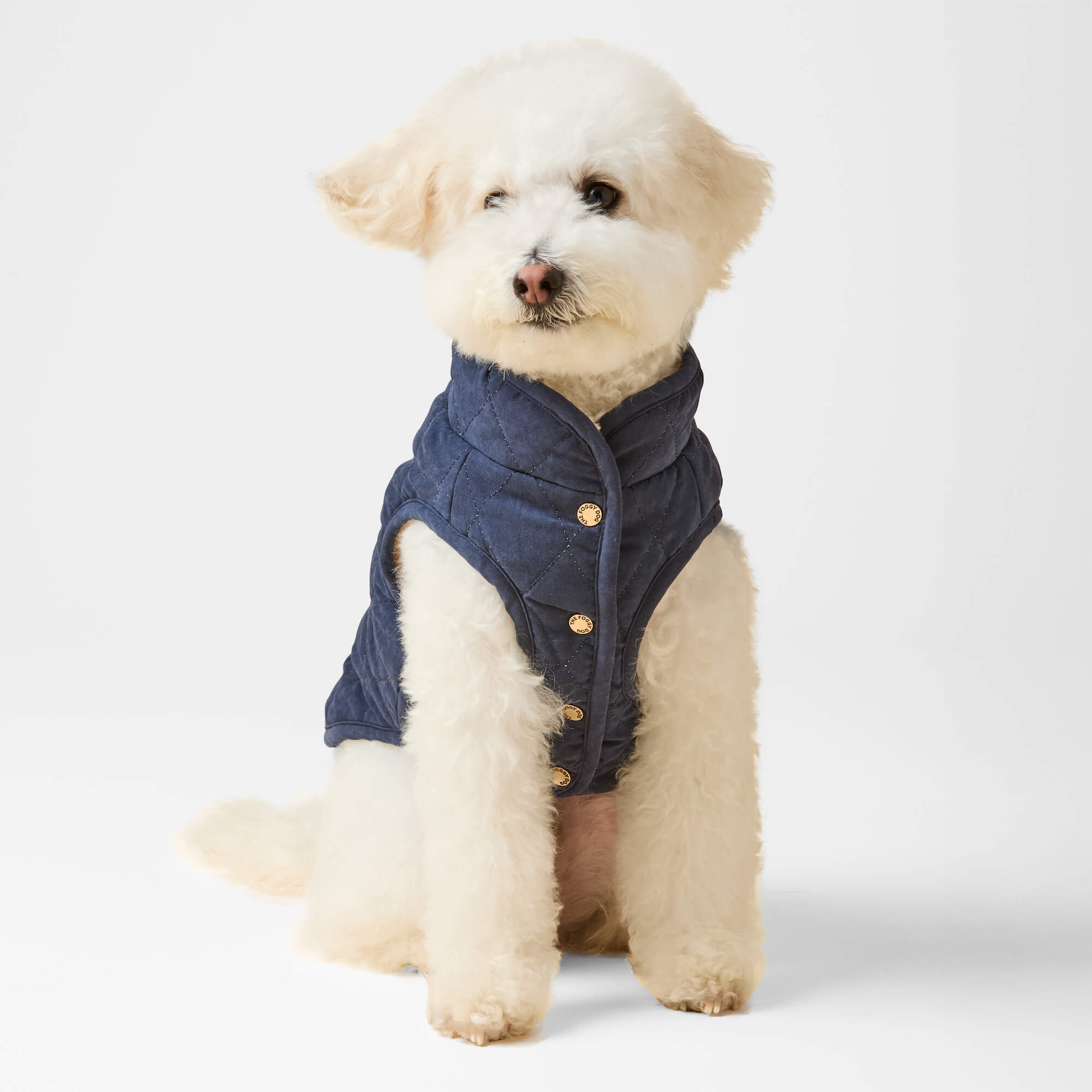 Navy Sherpa-Lined Reversible Dog Jacket