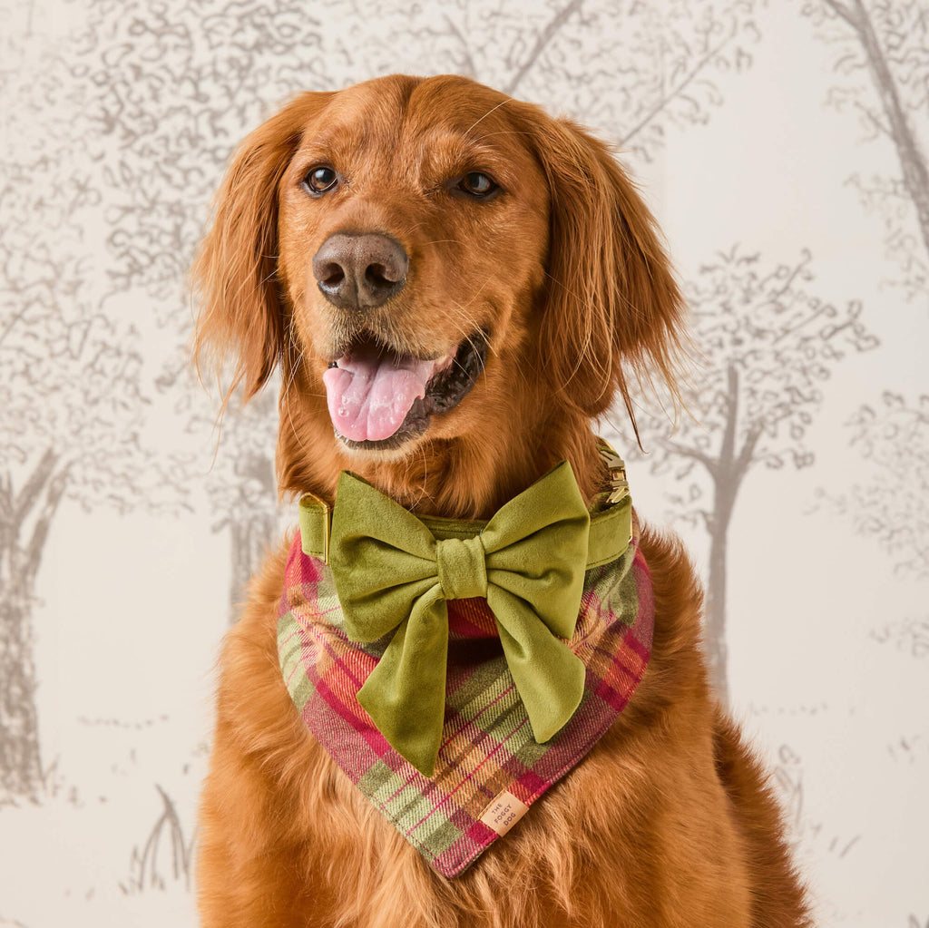 Orchard Plaid Flannel Dog Bandana