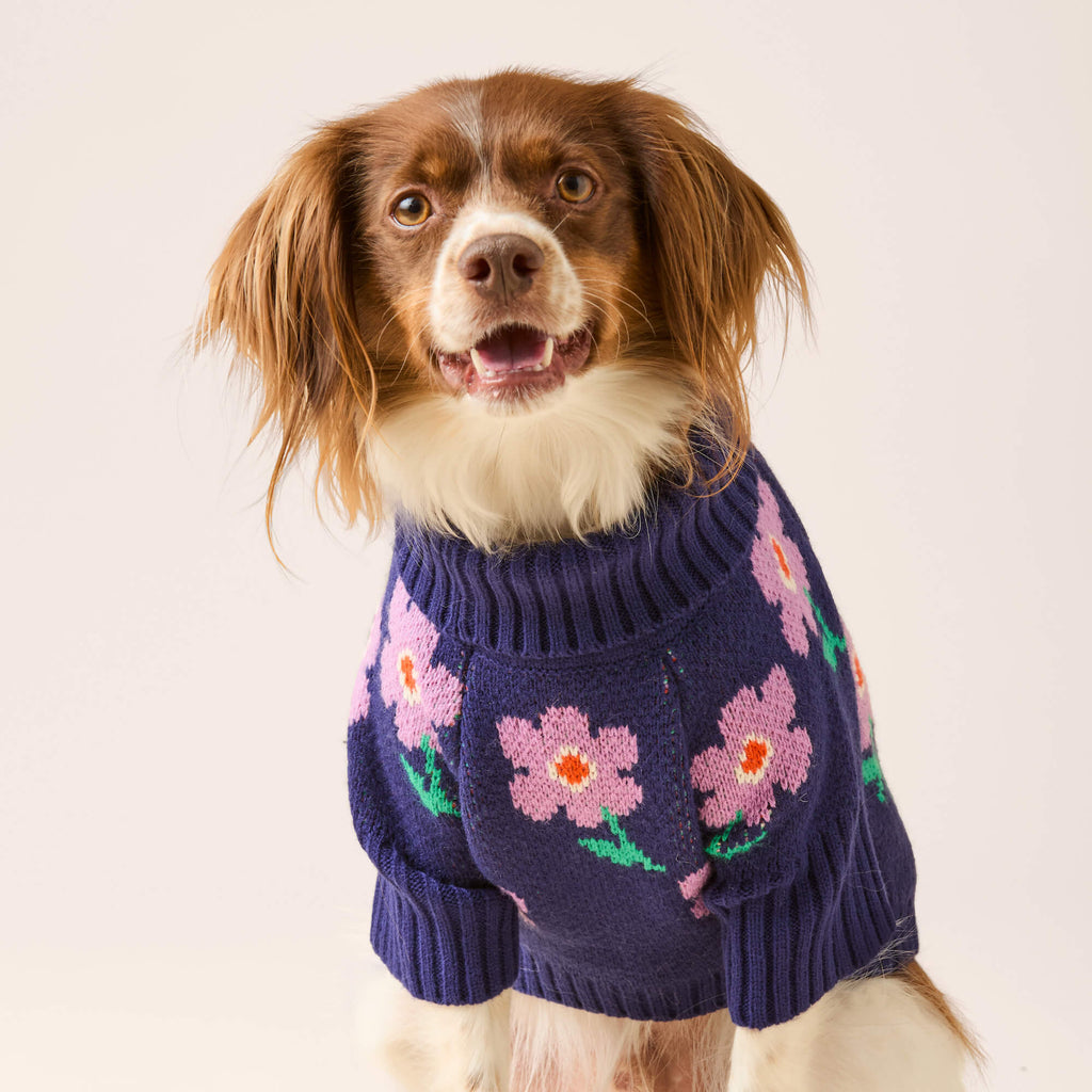 Purple Posies Dog Sweater