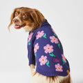 Purple Posies Dog Sweater