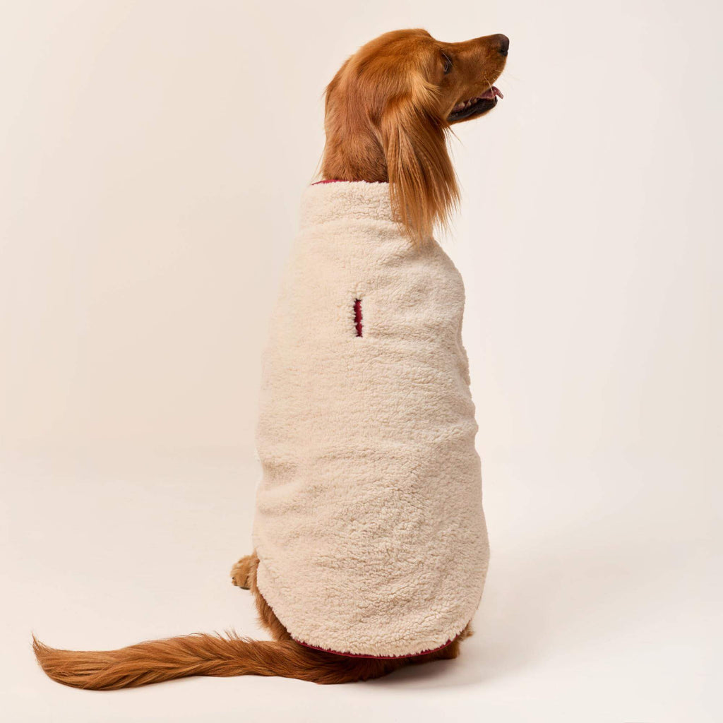 Currant Sherpa-Lined Reversible Dog Jacket