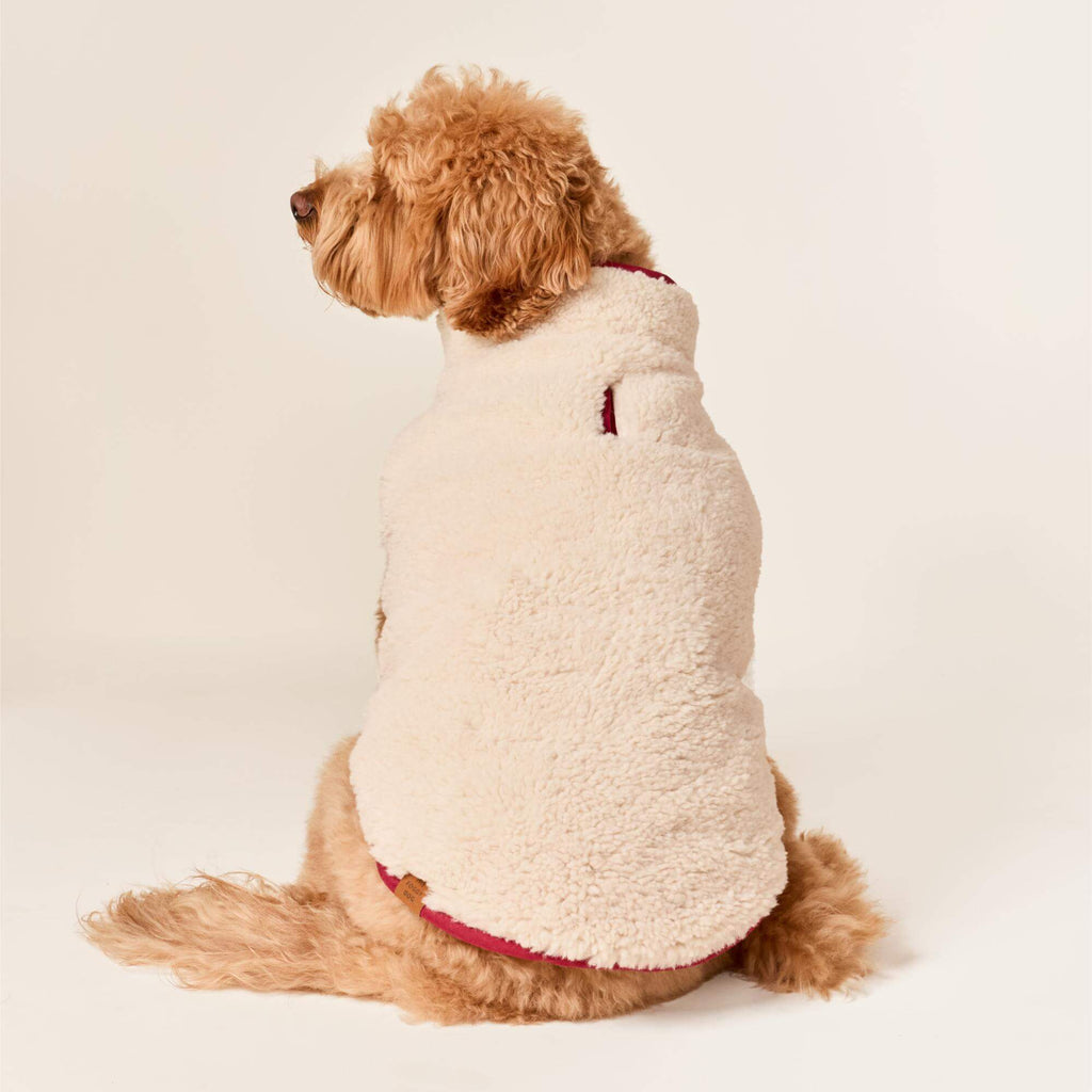 Currant Sherpa-Lined Reversible Dog Jacket