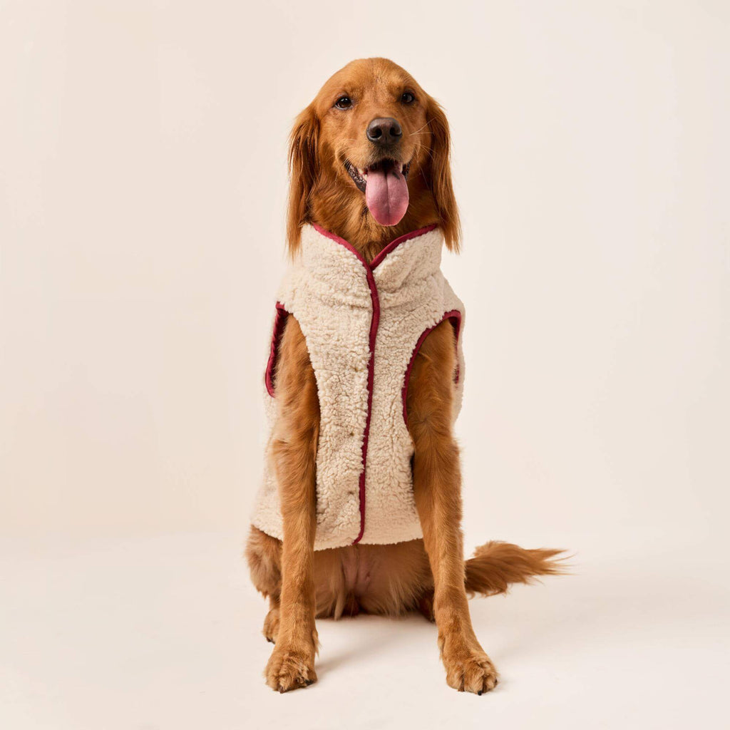 Currant Sherpa-Lined Reversible Dog Jacket
