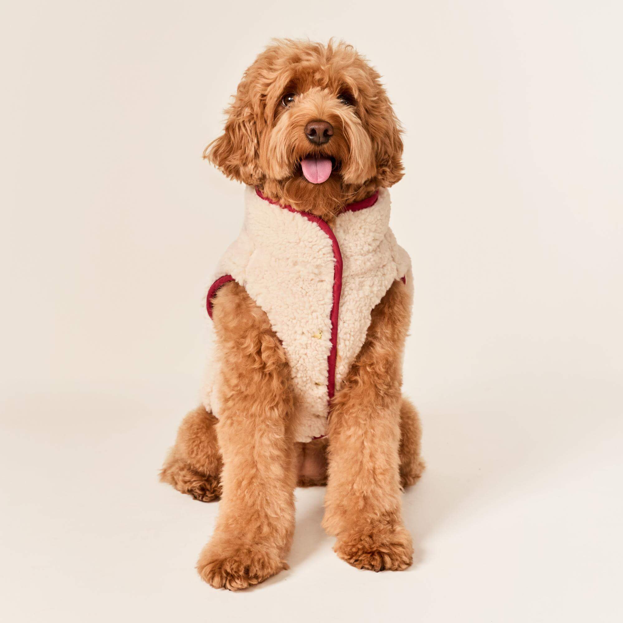 Currant Sherpa-Lined Reversible Dog Jacket