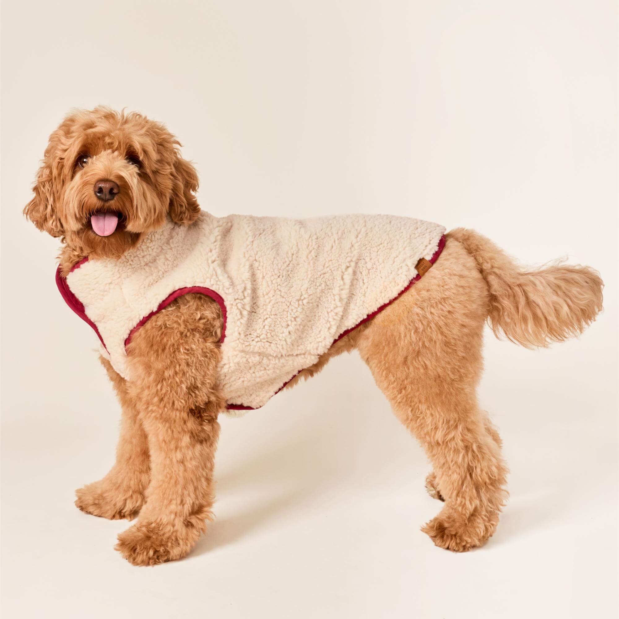 Currant Sherpa-Lined Reversible Dog Jacket