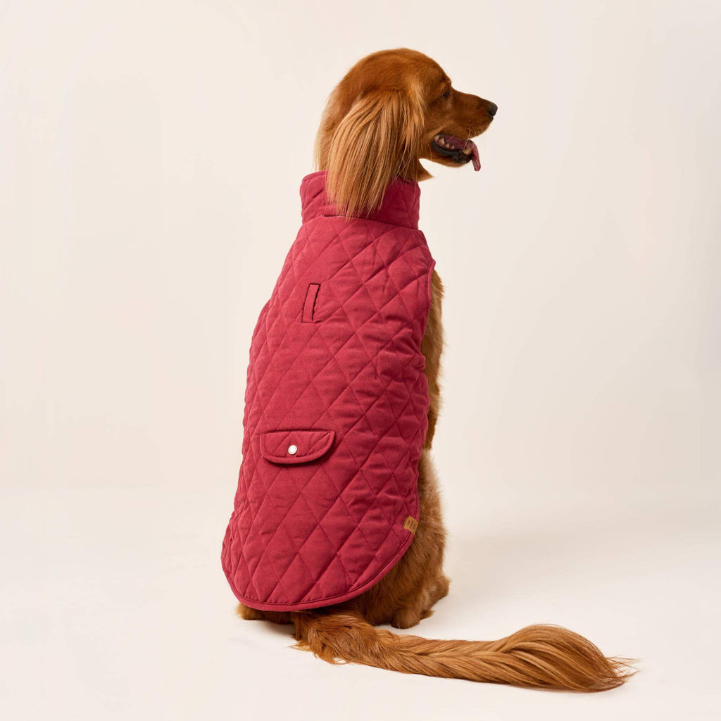 Currant Sherpa-Lined Reversible Dog Jacket