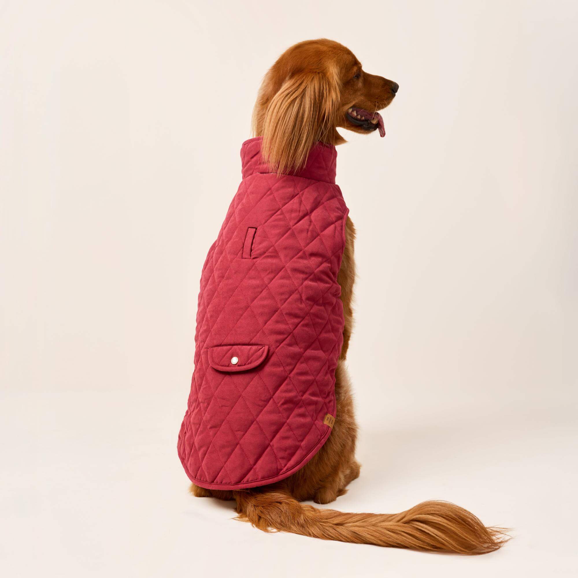 Currant Sherpa-Lined Reversible Dog Jacket