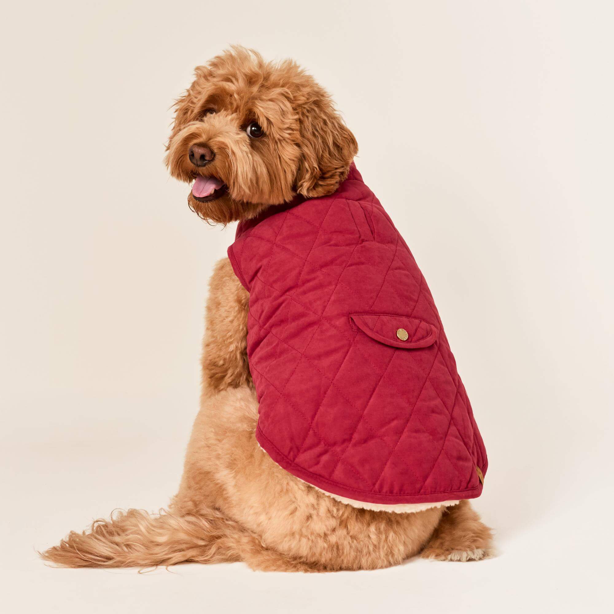Currant Sherpa-Lined Reversible Dog Jacket