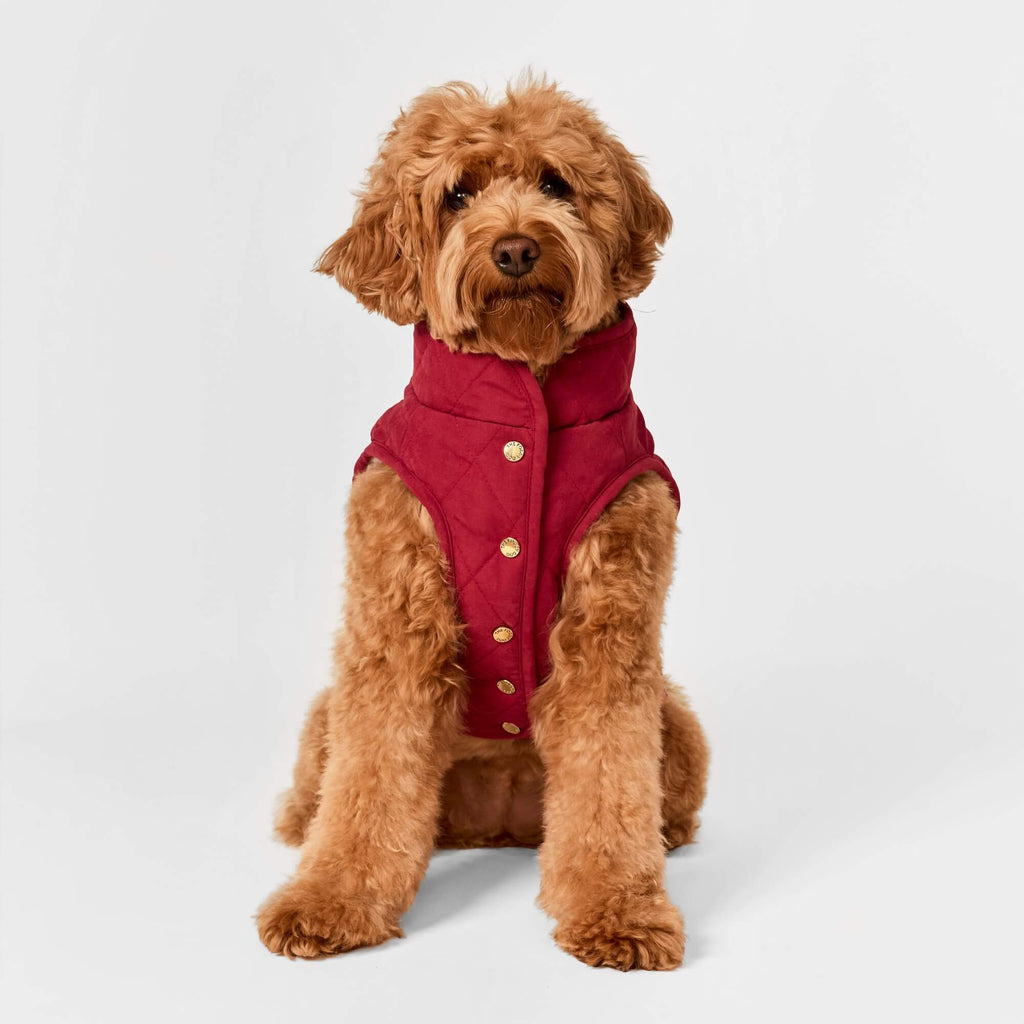 Currant Sherpa-Lined Reversible Dog Jacket