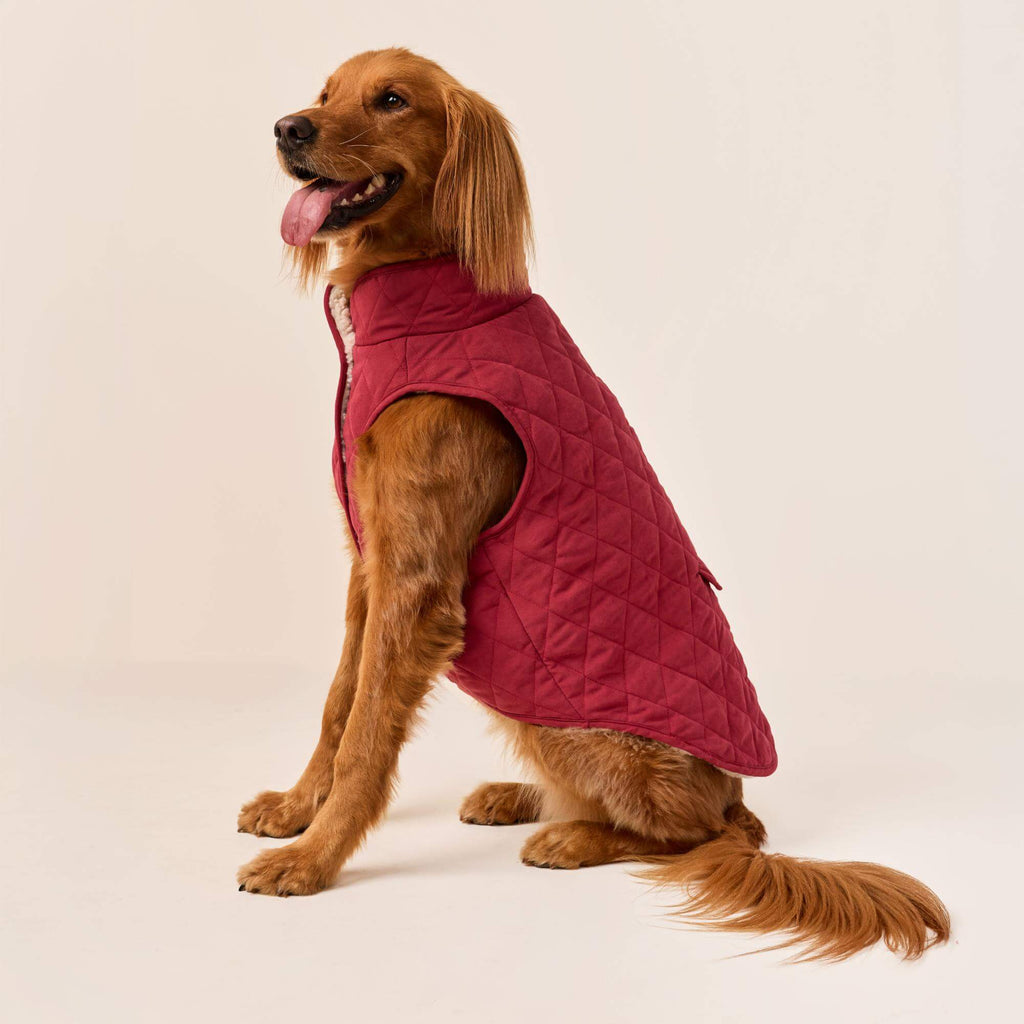 Currant Sherpa-Lined Reversible Dog Jacket