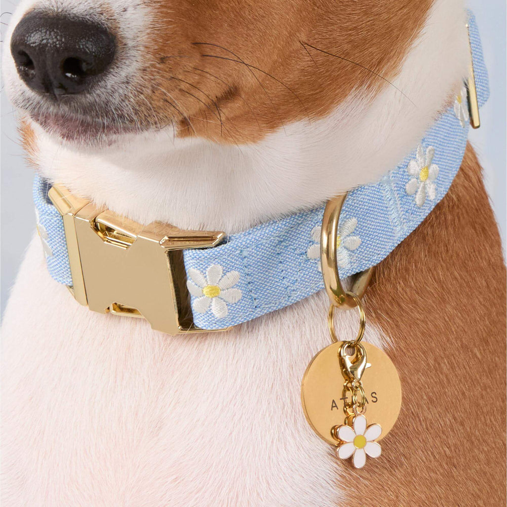Daisy Embroidered Dog Collar
