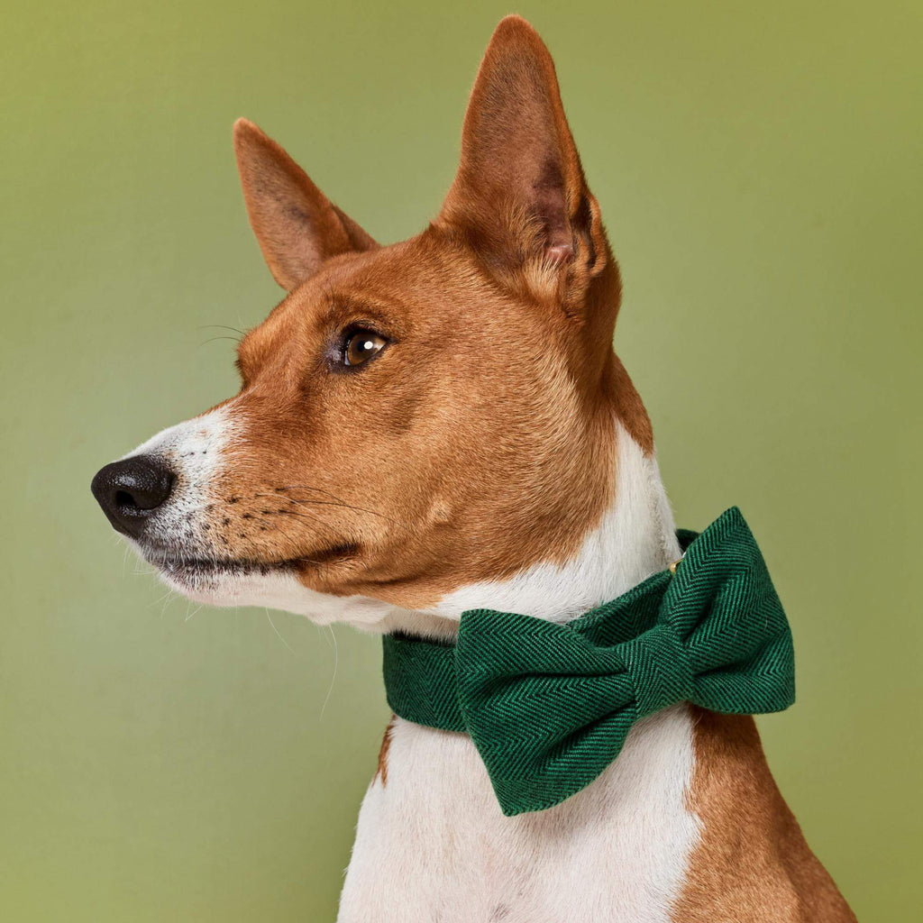 Evergreen Herringbone Flannel Bow Tie Collar