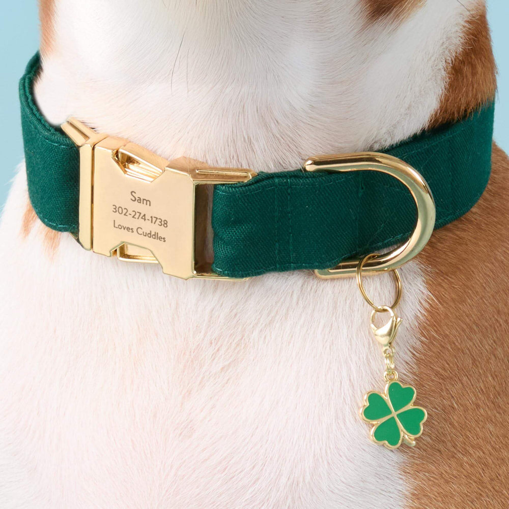 Lucky Clover Collar Charm