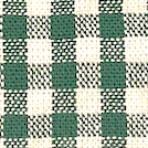 Evergreen Gingham Harness Walk Set
