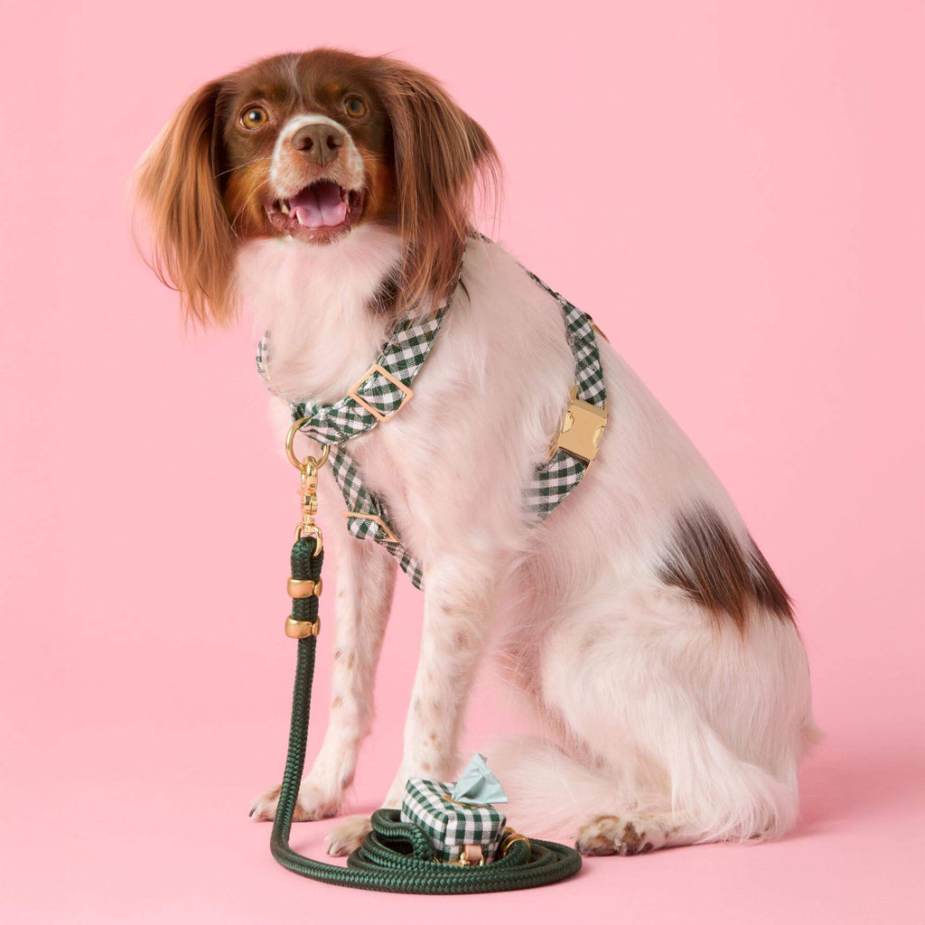 Evergreen Gingham Dog Harness