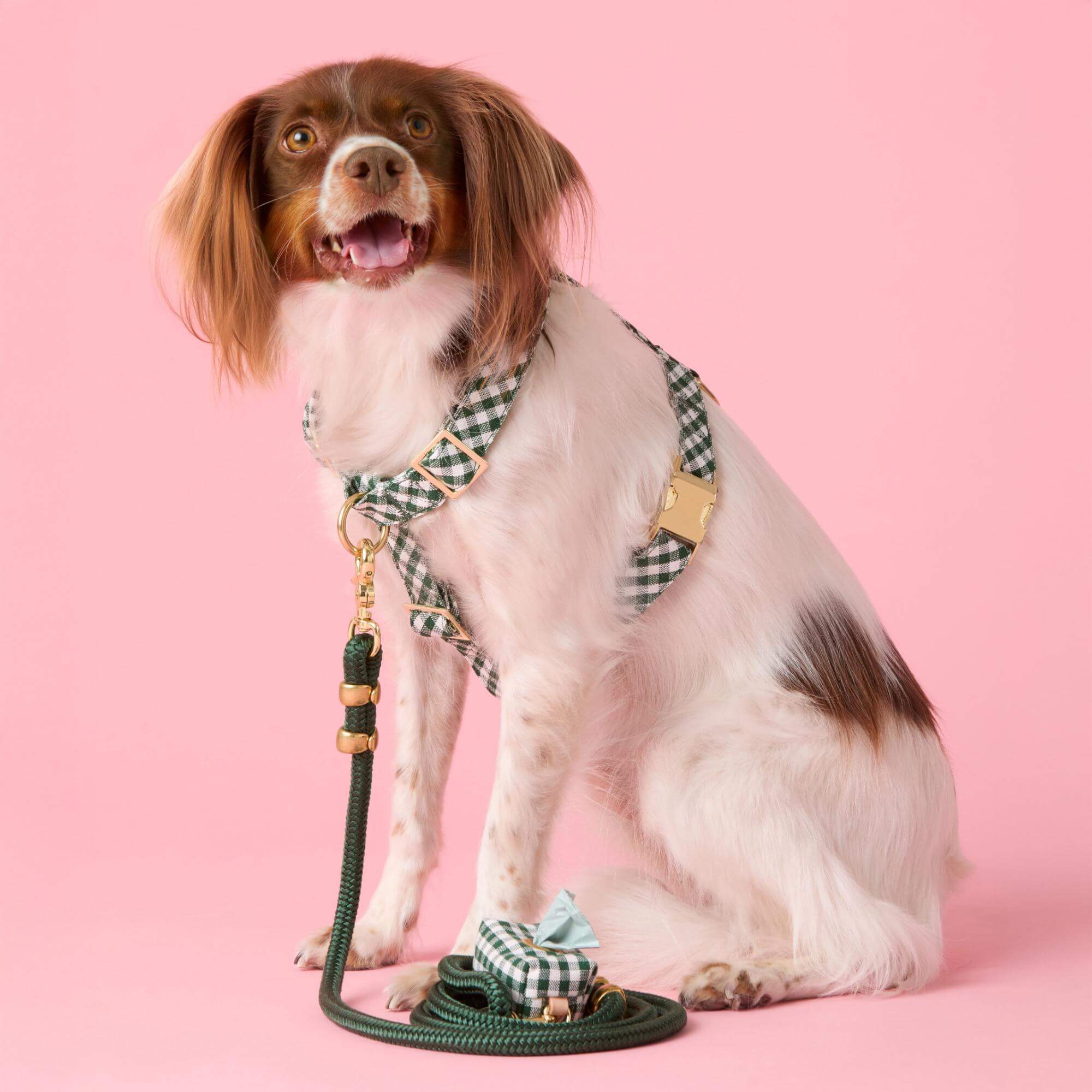 Evergreen Gingham Dog Harness