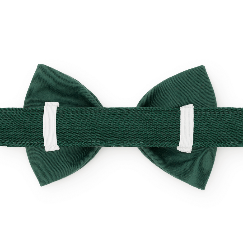 Fall Foliage Embroidered Bow Tie Collar