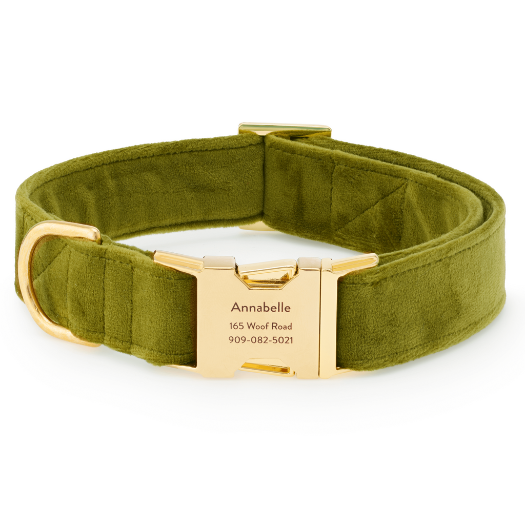 Moss Velvet Dog Collar
