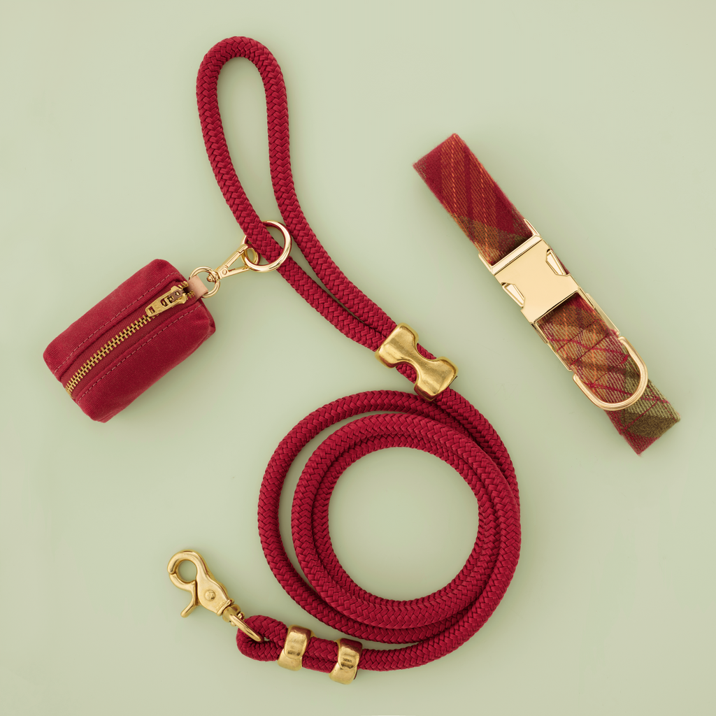 Orchard Plaid Flannel Collar Walk Set