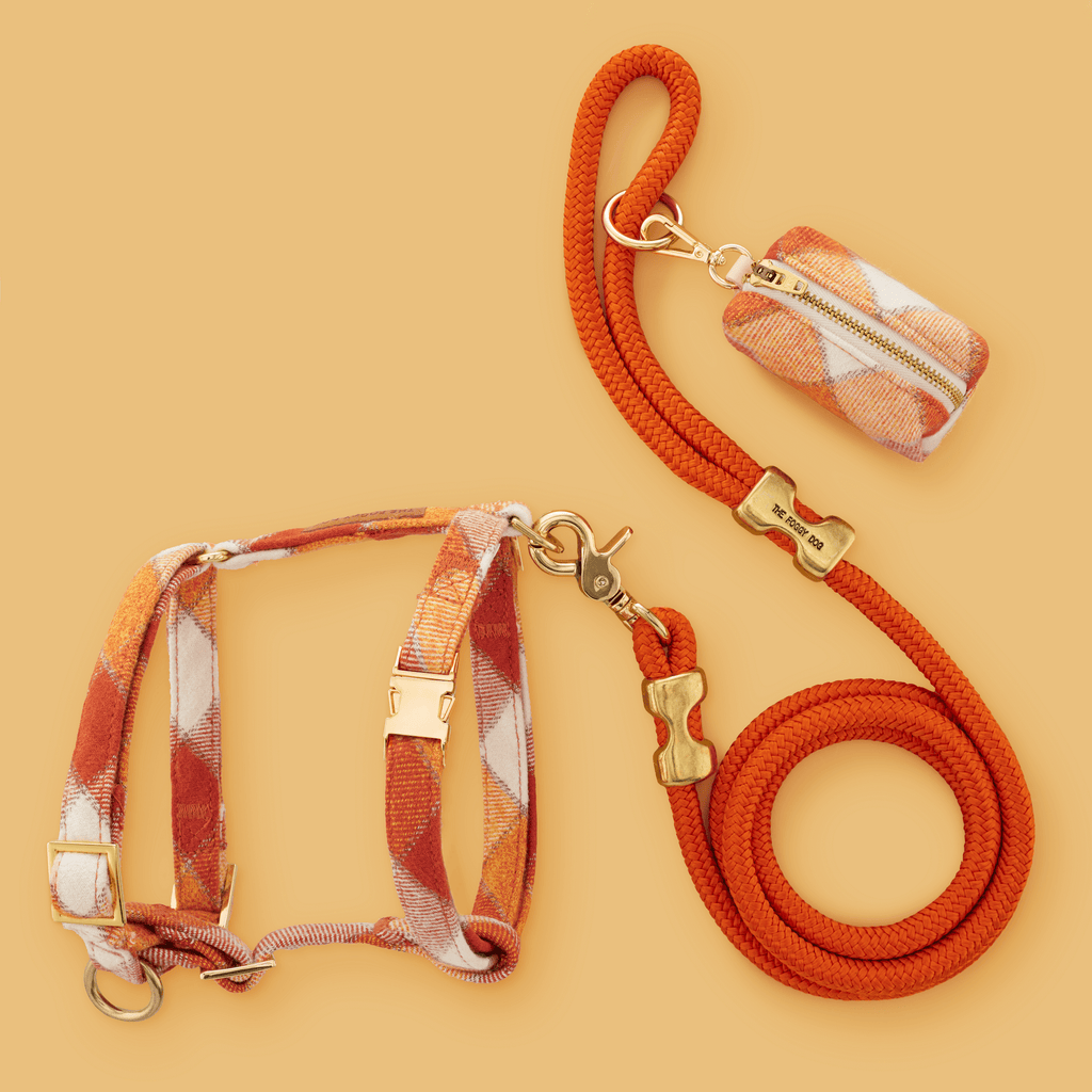 Pumpkin Spice Plaid Flannel Harness Walk Set