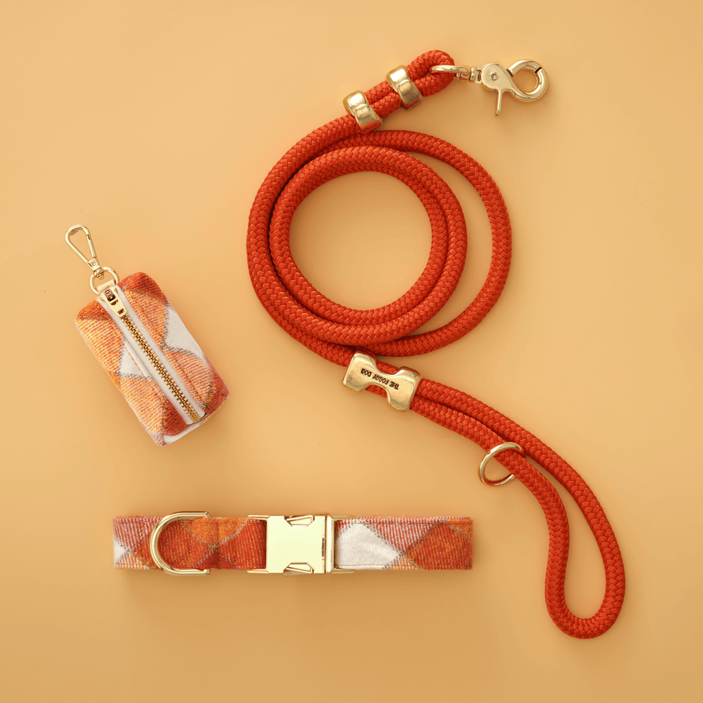 Pumpkin Spice Plaid Flannel Collar Walk Set