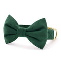 Evergreen Herringbone Flannel Bow Tie Collar