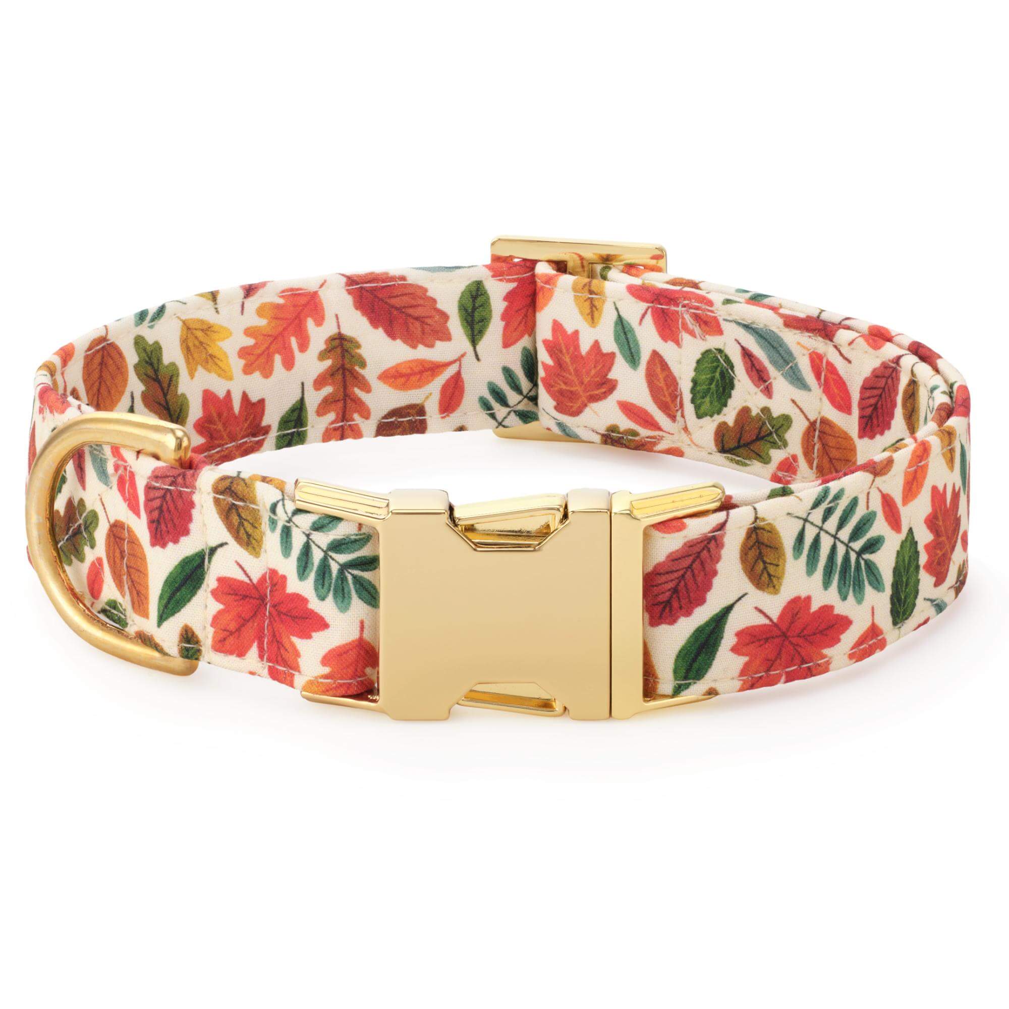 Falling Leaves Collar Walk Set