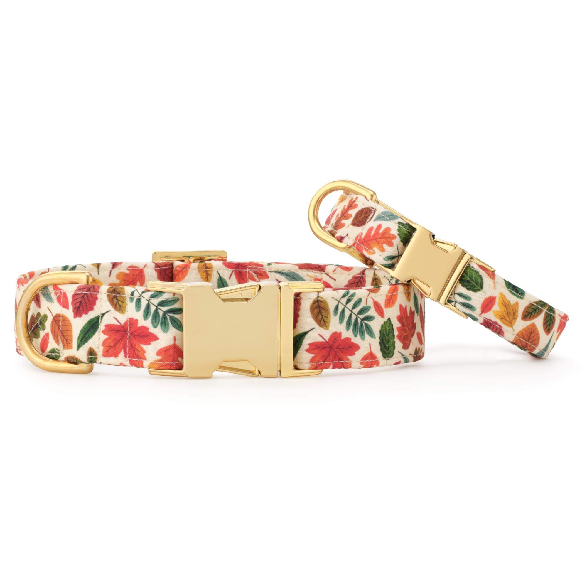 Falling Leaves Dog Collar