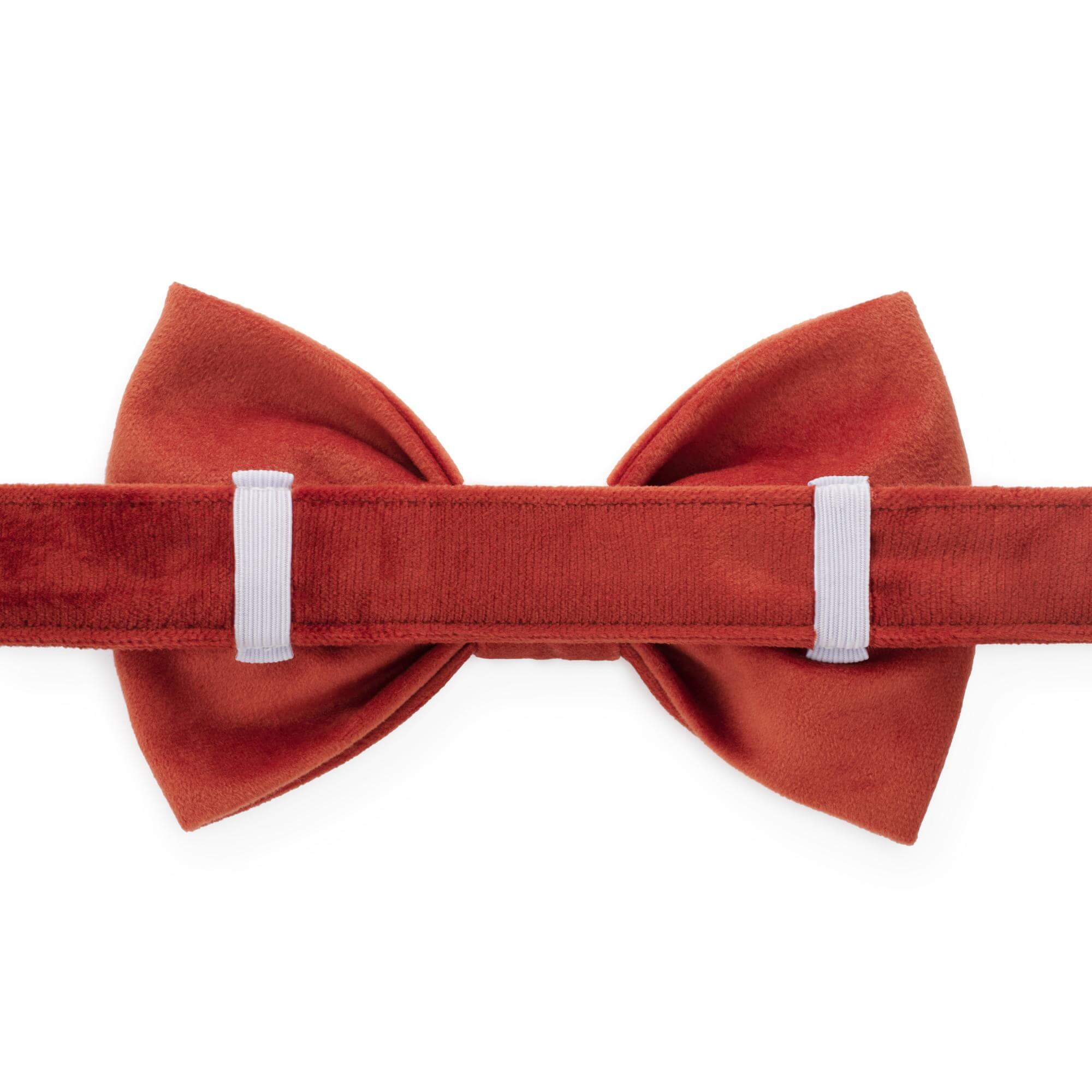 Football Embroidered Bow Tie Collar