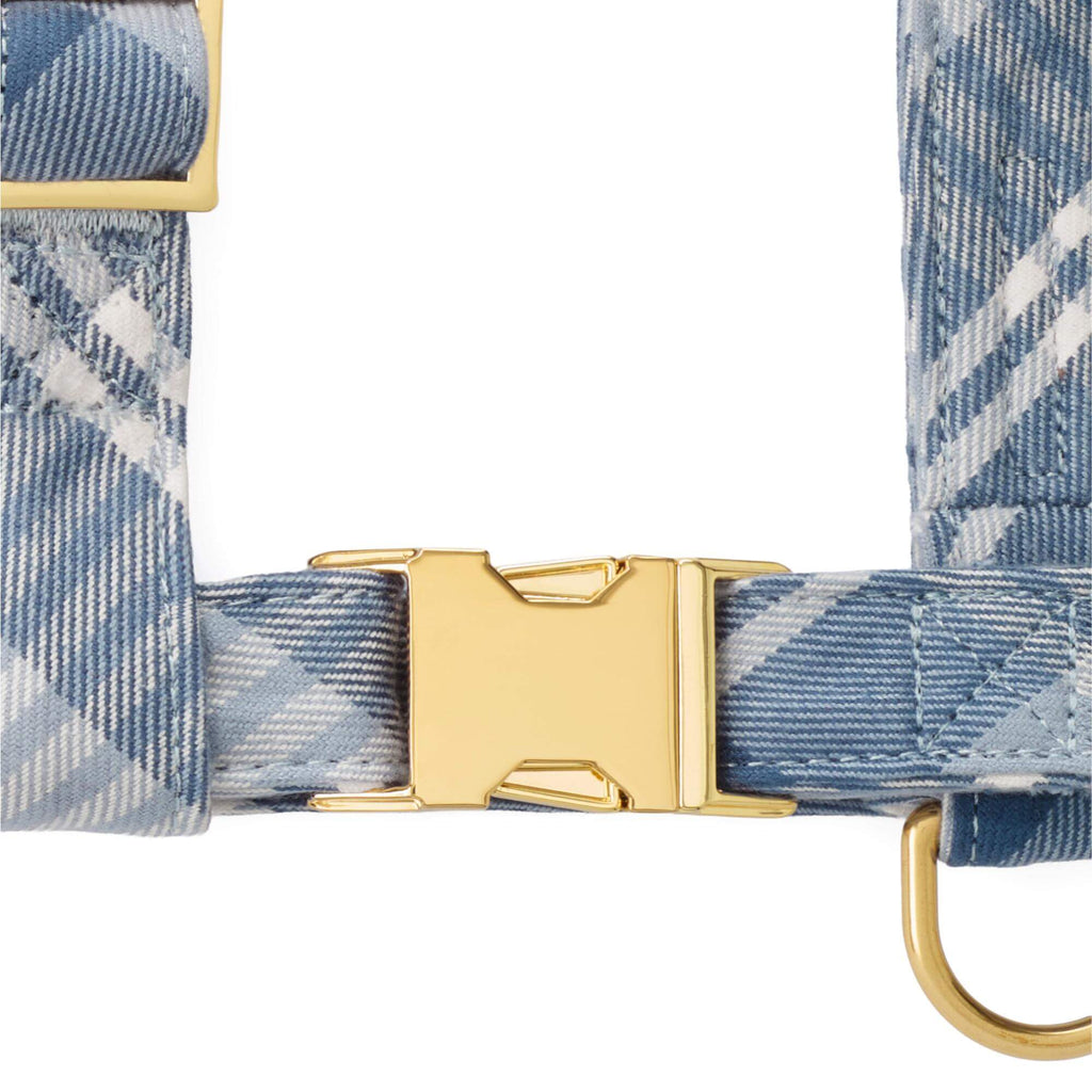 Hawthorne Plaid Flannel Harness Walk Set