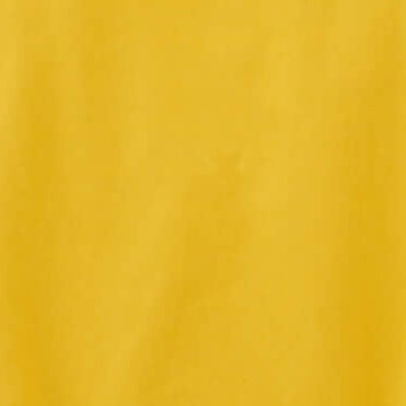 Bright Yellow Reflective Dog Raincoat